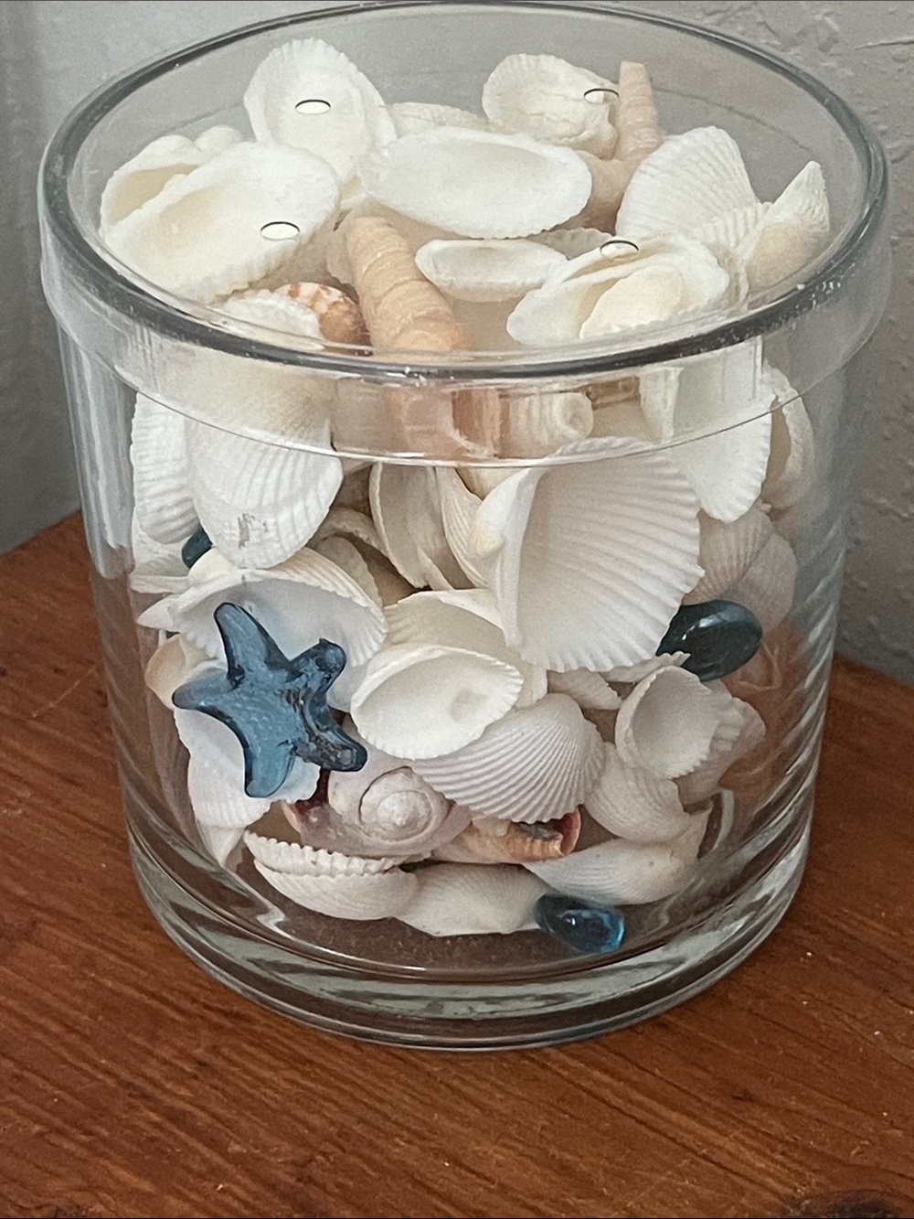 Coastal Seashell Jar Decor with Blue Accent - Unbranded